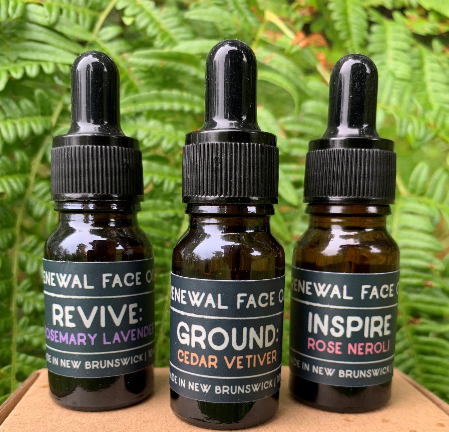 Renewal Face Oil Essential oils set 3x10ml